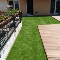 moquette (12)